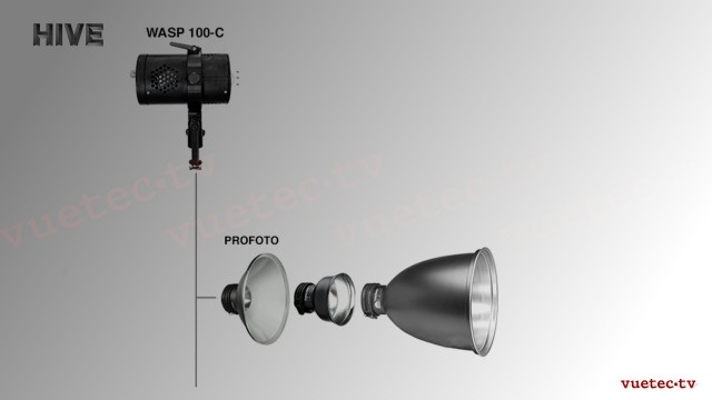 HIVE WASP-100C - LED PAR Leuchte 100 W